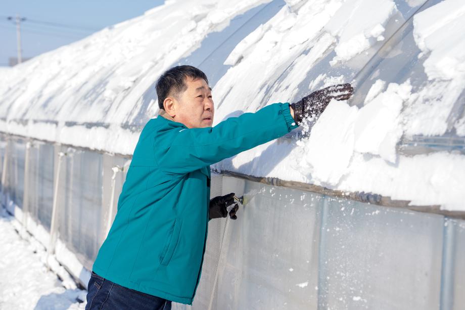 대설 관련 시설 안전점검