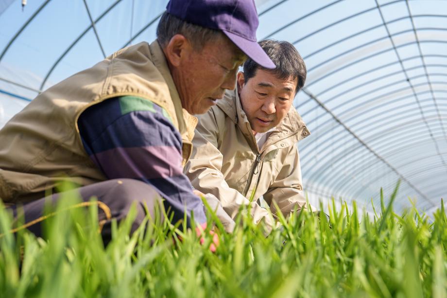 첫 출하 부추농가 방문