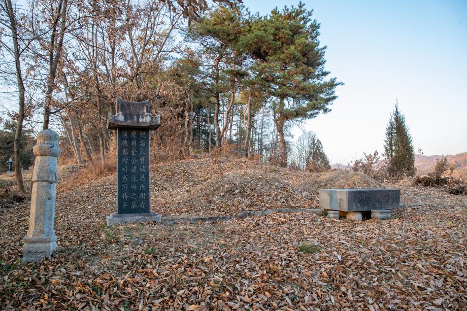 비지정문화재 김영빈 묘