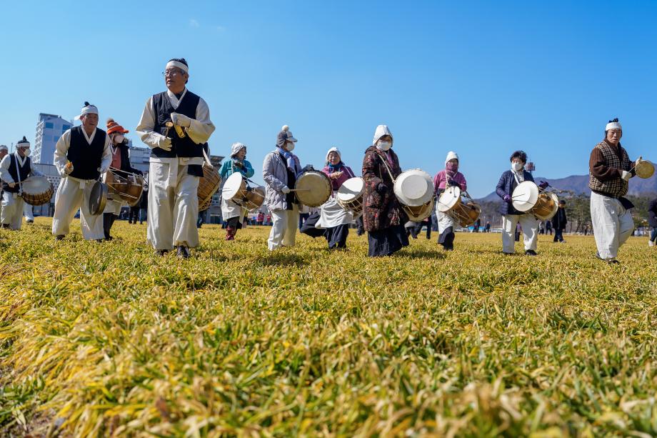 증평군, 청보리밟기로 싹 틔운 희망...송산초 신설 기원